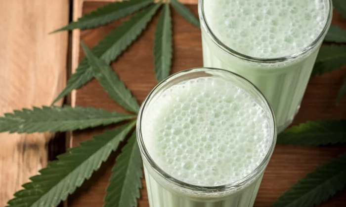  God, Why Are They Made Like This, Called Cannabis Milk Shake, Milk Shak, Ganjayi-TeluguStop.com