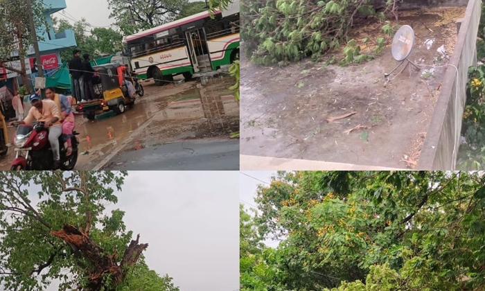  Gusty Rain In Suryapet, Gusty Rain ,suryapet, Suryapet District, Electricity Sup-TeluguStop.com
