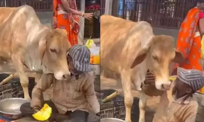  How This Vegetable Merchant Is Treating The Cow Is Shocking, Viral Video, Animal-TeluguStop.com