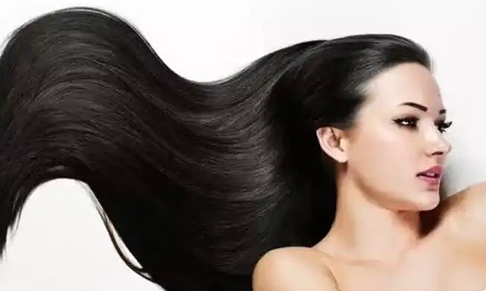  If Your Hair Has Turned White At A Young Age, Try This Oil , Oil , Hair, White-TeluguStop.com