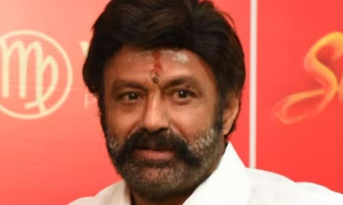  Interesting News Viral About Balakrishna , Balakrishna, Kriti Shetty, Tamannah,-TeluguStop.com