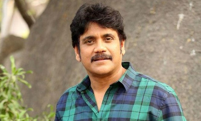  Is Nagarjuna Doing His 100th Film With The Same Director Who Gave Him A Hit, Nag-TeluguStop.com