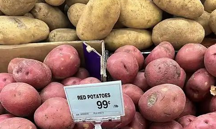  Is Potato A Vegetable Or A Grain Is A Big Debate In America, American Senators,-TeluguStop.com