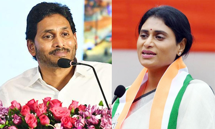 Telugu Ap Cm Jagan, Ap Congress, Ap, Appcc, Chandrababu, Cmjagan, Vijayasai Redd