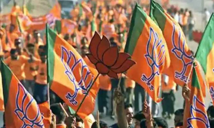  Bjp's New Strategy In Lok Sabha Election Campaign, Lok Sabha Elections , Telanga-TeluguStop.com