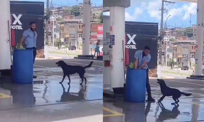 Man Splashes Water On Dog To Give Respite From Heat Viral Video Details, Dog, Vi Man Splashes Water On Dog To Give Respite From Heat Viral Video Details, Dog, Vi-TeluguStop.com