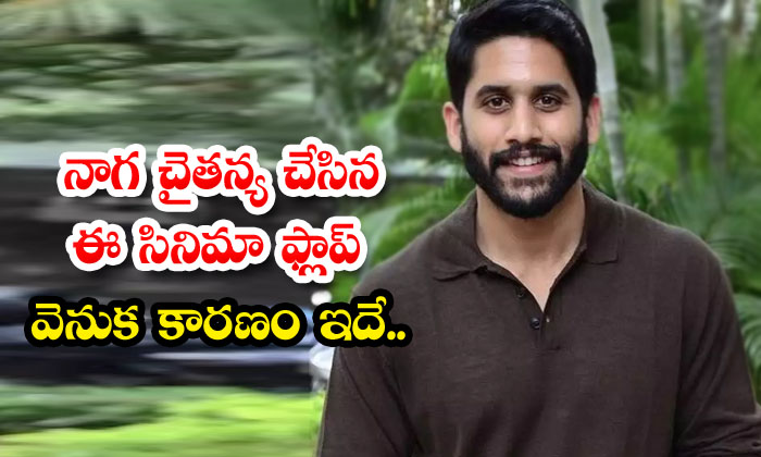  This Is The Reason Behind Naga Chaitanya's Film Flop , Naga Chaitanya, Venkat Pr-TeluguStop.com