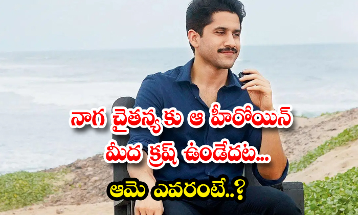  Naga Chaitanya Had A Crush On That Heroine Who Is She , Naga Chaitanya, Nagarjun-TeluguStop.com