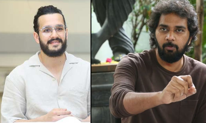  Akhil Found The Director Of The Next Film , Nagarjuna, Akhil Akkineni , Thande-TeluguStop.com