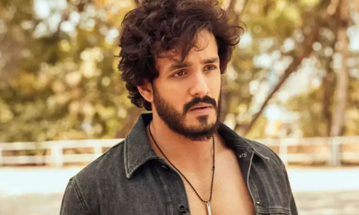 Telugu Agarjuna, Akhil Akkineni, Chandoo Mondeti, Naga Chaitanya, Thandel, Tolly