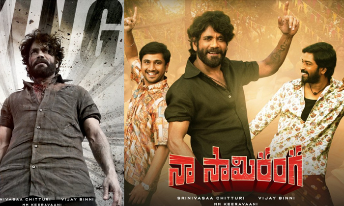 Naa Saami Ranga Movie Trp Rating Details Here Goes Viral In Social Media ,naa Sa Naa Saami Ranga Movie Trp Rating Details Here Goes Viral In Social Media ,naa Sa-TeluguStop.com