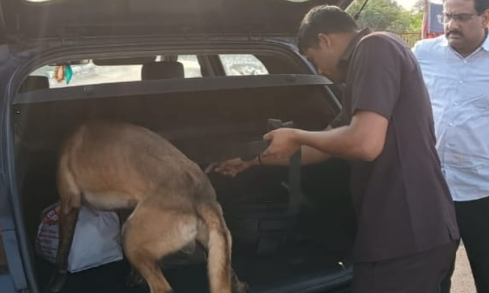  Narcotic Dog Rolex In Vehicle Inspections,narcotic Dog Rolex ,vehicle Inspection-TeluguStop.com