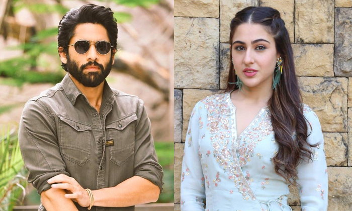  Sara Ali Khan Rejected To Pair With Naga Chaitanya Due To These Reasons Details,-TeluguStop.com