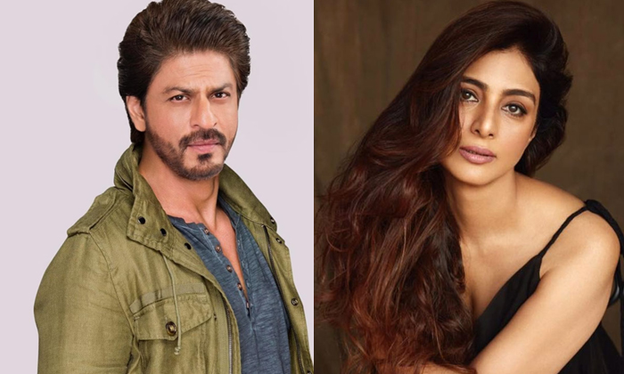  Bollywood Actors Shah Rukh Khan Tabu Back To Back Blockbusters,shah Rukh Khan, T-TeluguStop.com