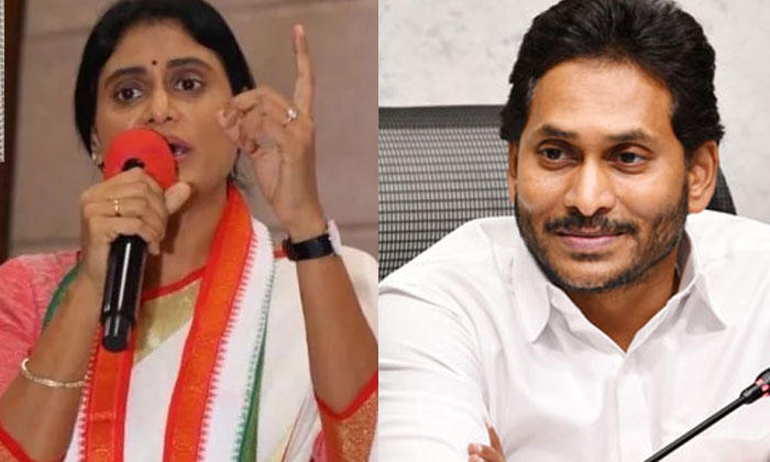  Ys Sharmila Serious Comments On Cm Jagan During Pulivendula Election Campaign Y-TeluguStop.com