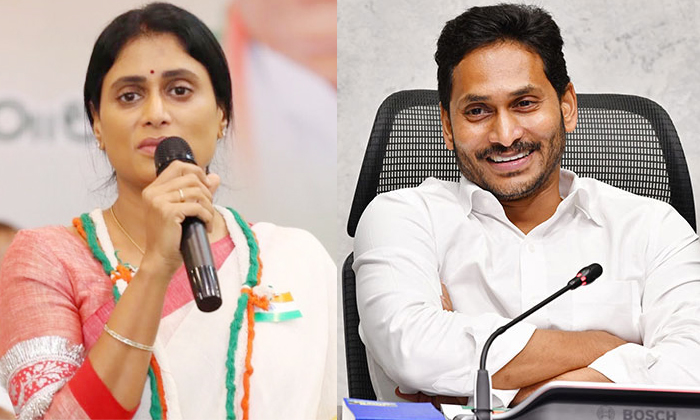  There Is No Ysr In Ysrcp Sharmila Details, Ys Sharmila, Ys Sharmila Comments, Cm-TeluguStop.com