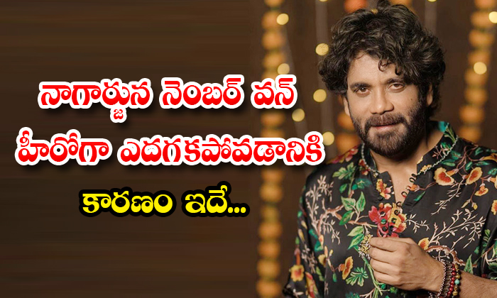 This Is The Reason Why Nagarjuna Did Not Become Number One Hero Details, Nagarju This Is The Reason Why Nagarjuna Did Not Become Number One Hero Details, Nagarju-TeluguStop.com