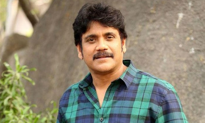 This Is The Reason Why Nagarjuna Did Not Become Number One Hero Details, Nagarju This Is The Reason Why Nagarjuna Did Not Become Number One Hero Details, Nagarju-TeluguStop.com