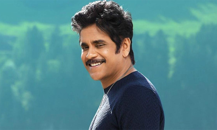 Telugu Chiranjeevi, Nagarjuna, Number, Tollywood-Movie Telugu Chiranjeevi, Nagarjuna, Number, Tollywood-Movie
