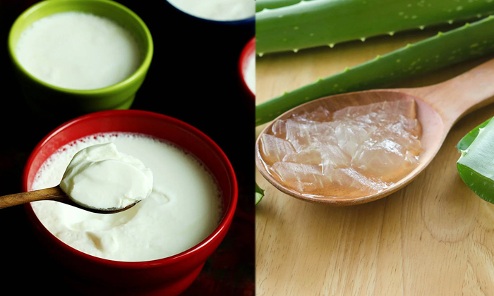 Telugu Dandruff, Dandruffremoval, Care, Care Tips, Remedy, Latest, Nutmeg, Nutme