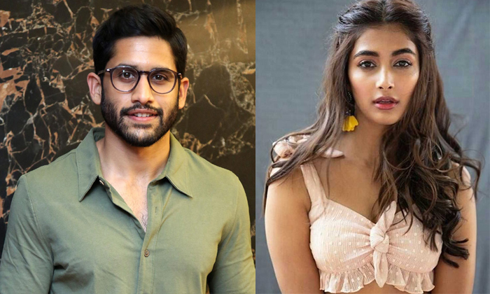 Telugu Comeback, Naga Chaitanya, Parada, Pooja Hegde, Poojahegde, Tillu Square, Telugu Comeback, Naga Chaitanya, Parada, Pooja Hegde, Poojahegde, Tillu Square,