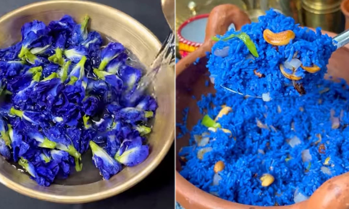  Blue-coloured Avatar Biryani Viral Video,viral News, Trending News,butterfly Pea-TeluguStop.com