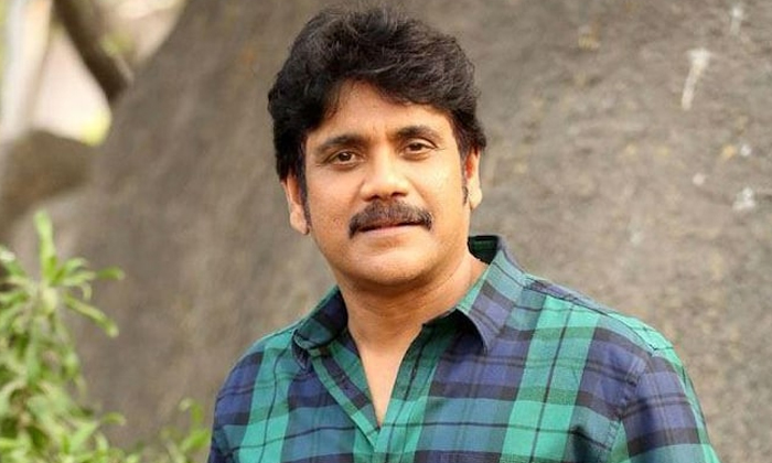 Telugu Akhil, Allari Priyudu, Flop, Naga Chaitanya, Nagarjuna, Ramudochadu, Naga