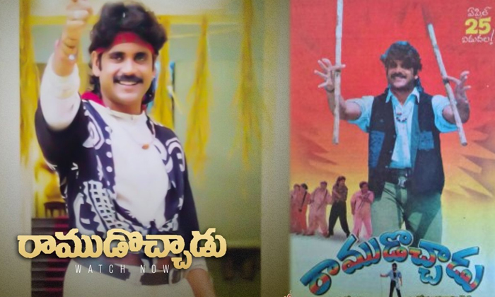  What Is The Reason Why Nagarjuna Left That Hit Movie And Made A Flop Movie, Flo-TeluguStop.com