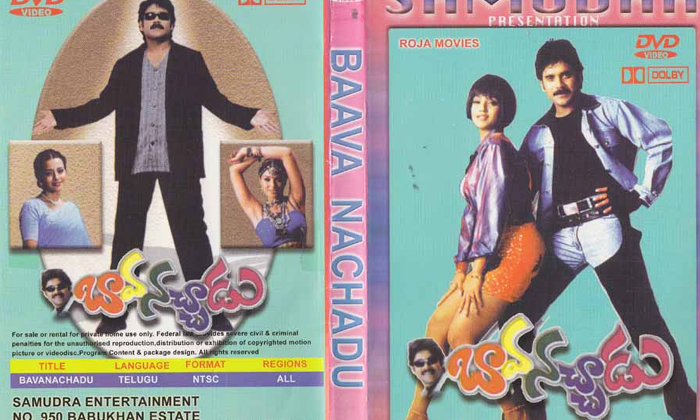 Telugu Bhavanchadu, Disaster, Ks Ravikumar, Nagarjuna, Tollywood-Movie