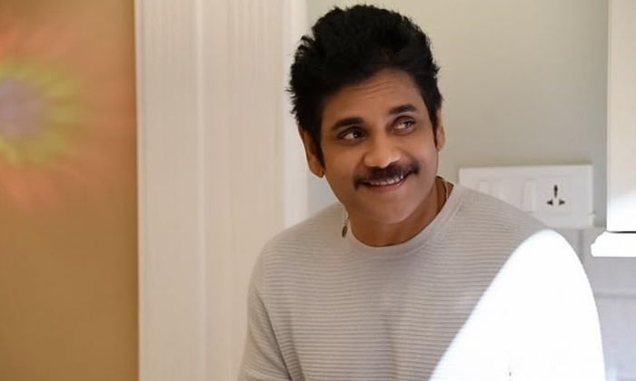  What Is The Reason Why Nagarjuna's Film Became A Disaster , Nagarjuna, Disaster-TeluguStop.com