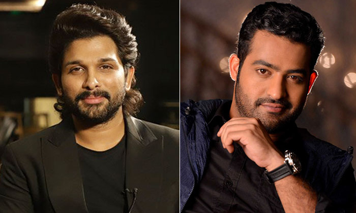  What Will Happen Between Allu Arjun Vs NTR Fans Details, Allu Arjun, Ntr, Ntr Fa-TeluguStop.com