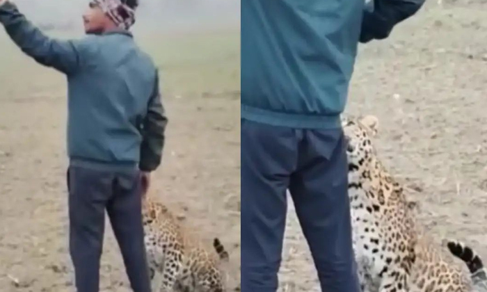  What's Wrong With The Viral Video Bro, I Took A Selfie With A Cheetah For Fun, S-TeluguStop.com