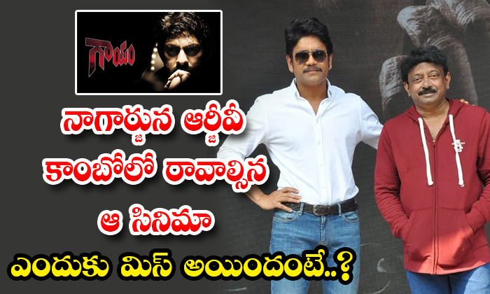  Why Did Nagarjuna Rgv Combo Miss That Movie Details, Nagarjuna, Ram Gopal Varma,-TeluguStop.com