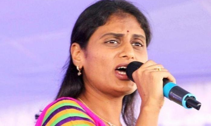  Ys Sharmila Sensational Comments On Yellow Saree Comments , Ys Sharmila, Congres-TeluguStop.com