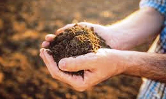 Telugu Agriculture, Alluvial Soil, Crop Yield, Immunity, Pond Soil-Latest News -
