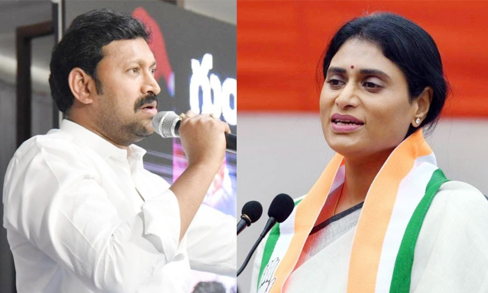  Ap Pcc Chief Ys Sharmila Shocking Comments On Ycp Mp Avinash Reddy Details, Jaga-TeluguStop.com