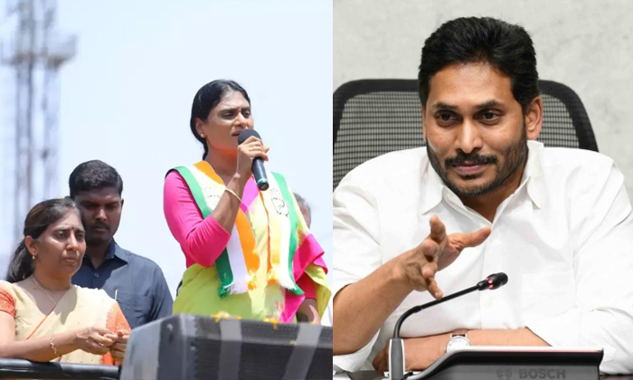  Cm Jagan Facing Troubles With Ys Sharmila And Suneetha Details, Jagan, Ys Sharmi-TeluguStop.com