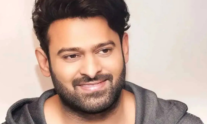  Do You Know What Prabhas Studied So Much In That Subsection , Prabhas, Tollywood-TeluguStop.com