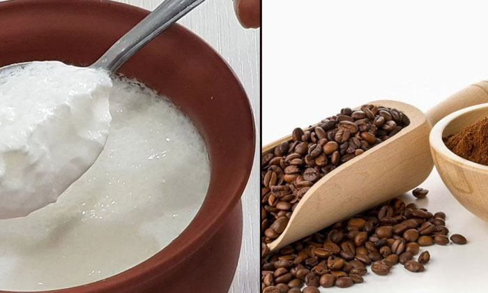 Telugu Coffee, Coffee Benefits, Care, Care Tips, Fall, Healthy-Telugu Health