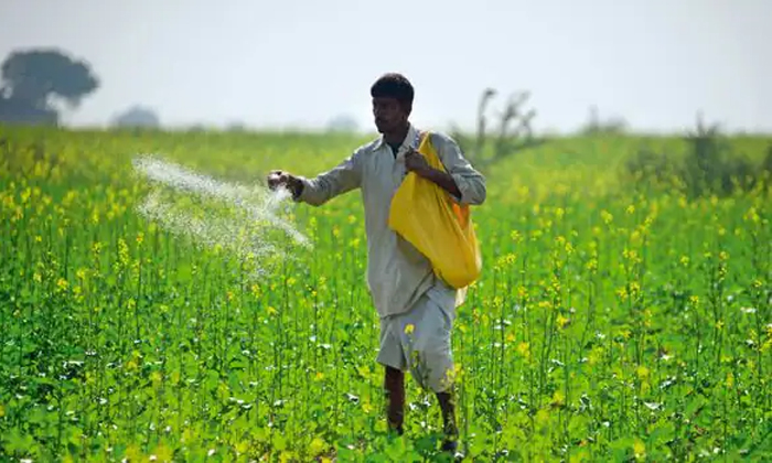 Telugu Agriculture, Cattle Manure, Farmers, Tips, Methods, Seed, Trichoderma-Lat