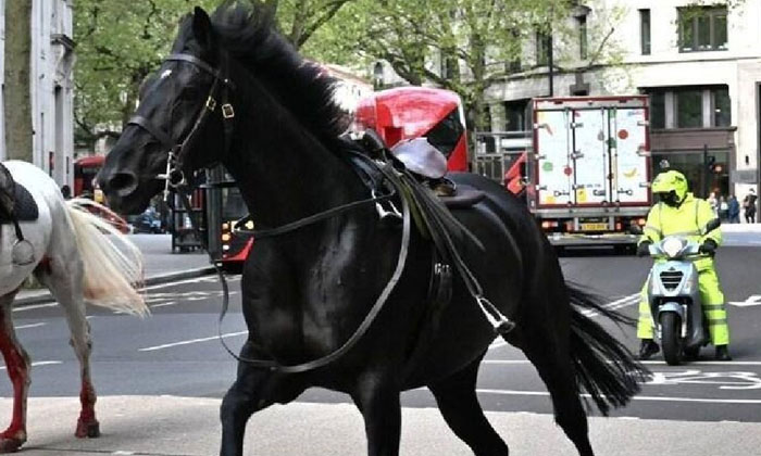 Telugu Horse, Britain, Horses, Latest, London-Latest News - Telugu