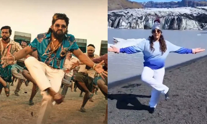 Actress Meena Mass Dance For Pushpa Song Video Viral Details, Viral Video, Socia-TeluguStop.com