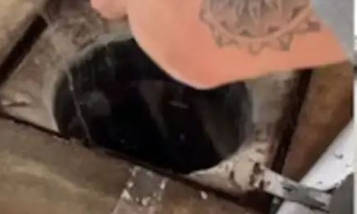 Unbearable Stench From Under The Carpet, Viral News, Latest News, Roommates, Ca Unbearable Stench From Under The Carpet, Viral News, Latest News, Roommates, Ca-TeluguStop.com