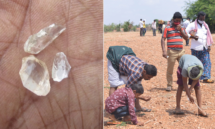  Diamond Hunting In The Fields Of Jonnagiri Kurnool District Details, Diamond Hun-TeluguStop.com