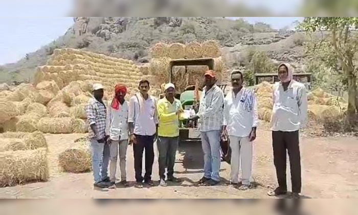  Distribution Of Grass By Farmers To Vemulawada Rajanna Heifers, Distribution Of-TeluguStop.com