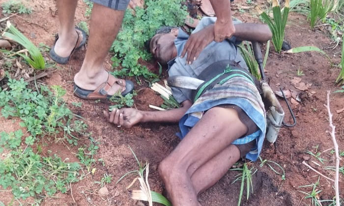  Gita Worker Died From The Top Of A Palm Tree , Gita Worker , Died, Ramannapeta-TeluguStop.com