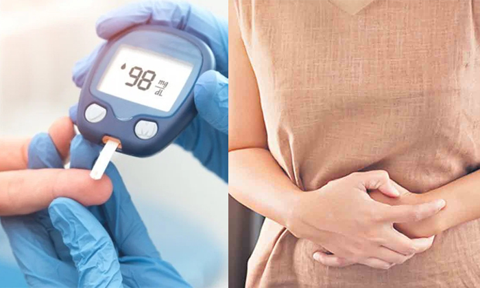 Telugu Alzheimers, Brain, Diabetes, Eye, Tips, Iron Deficiency, Ivy Gourd, Lates Telugu Alzheimers, Brain, Diabetes, Eye, Tips, Iron Deficiency, Ivy Gourd, Lates