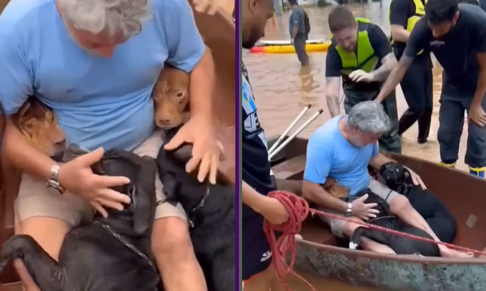  Owner Tears Up As Pet Dog Unites With Massive Floods In Brazil, Brazilian, Rio G-TeluguStop.com