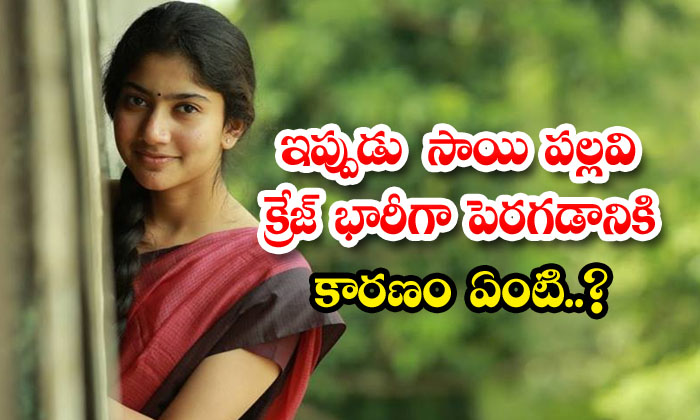  Now What Is The Reason For Sai Pallavi Craze To Increase So Much, Sai Pallavi ,-TeluguStop.com