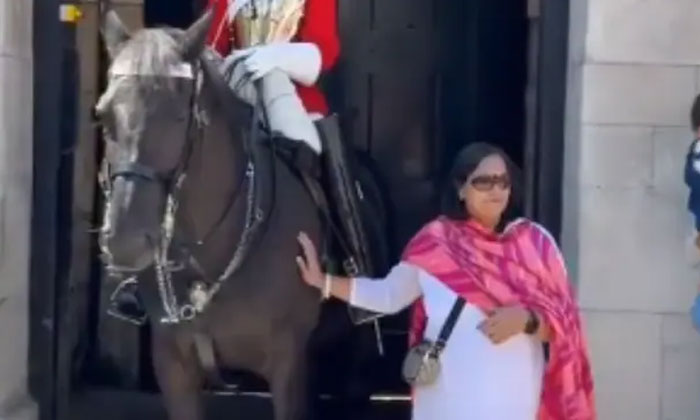  She Touched The King's Horse.. If You Know What Happened Next, King’s Guard, B-TeluguStop.com